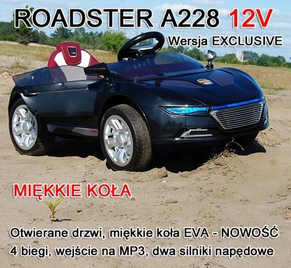 auteczka-1202606102037493625591