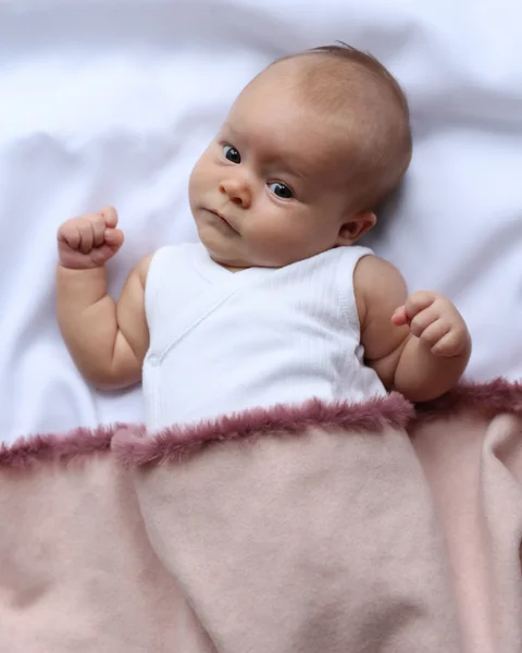 babyhit-2202606101718393598211