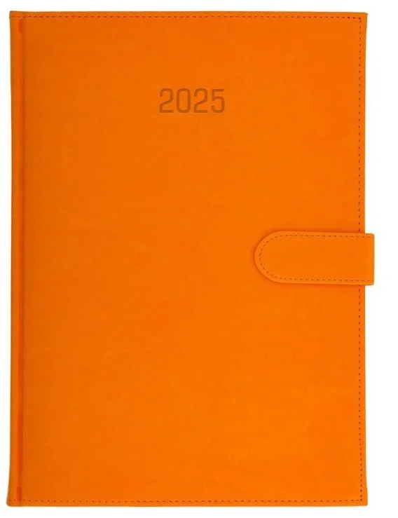 edukamp-1202606101156283545321