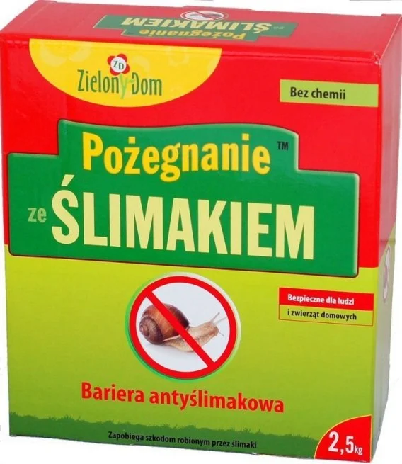 edukamp-1202606110350033652099