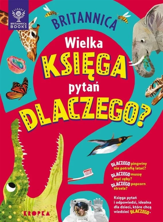 edukamp-1202606111036373600
