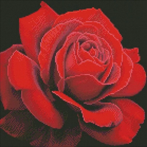 edukamp-1202606111137046916