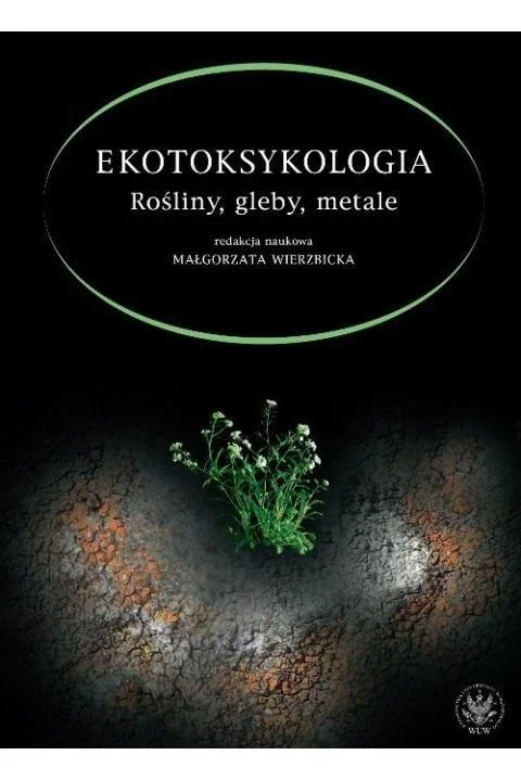 edukamp-12026061116021625665