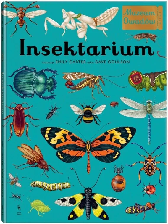 edukamp-120260612222121176284