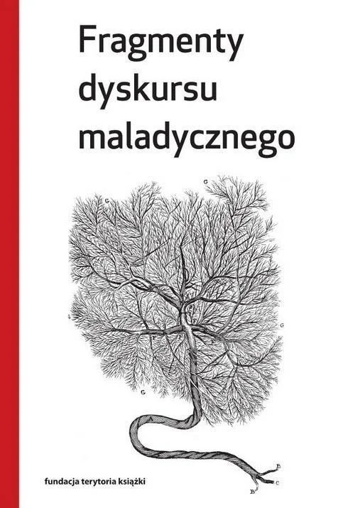 edukamp-120260613041405223832