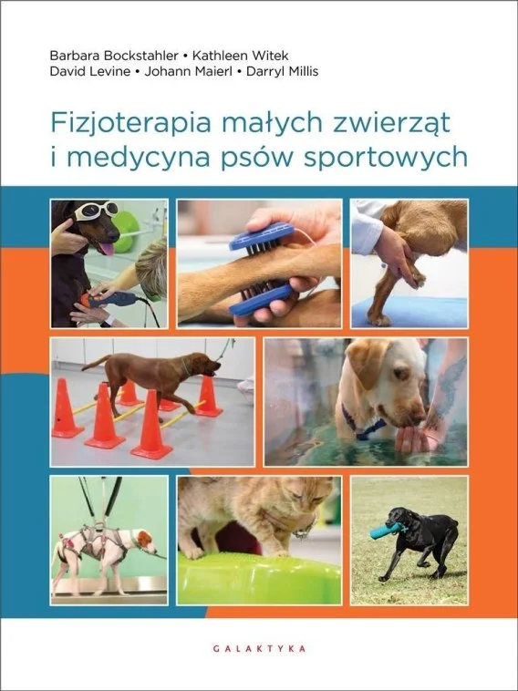 edukamp-120260613212656327243