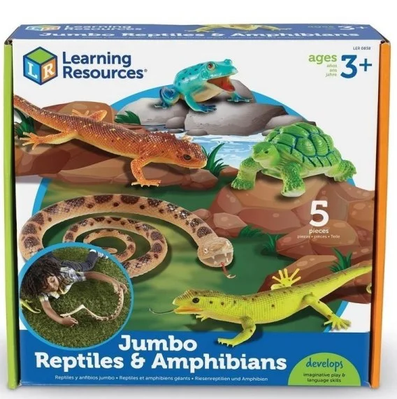 edukamp-120260614000128346651
