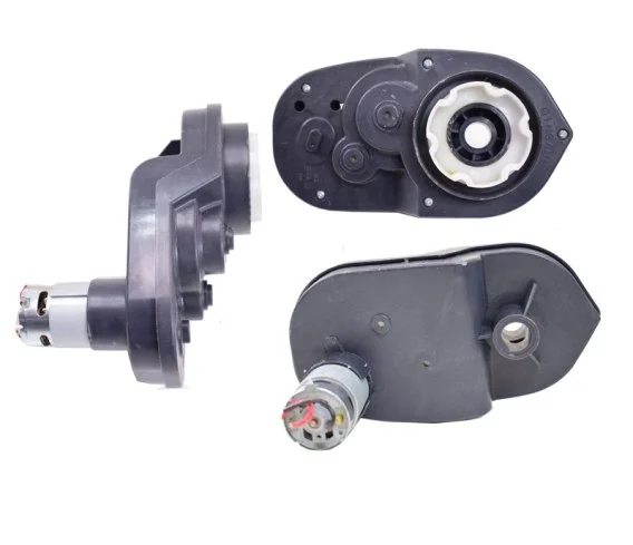 edukamp-120260614062546379093