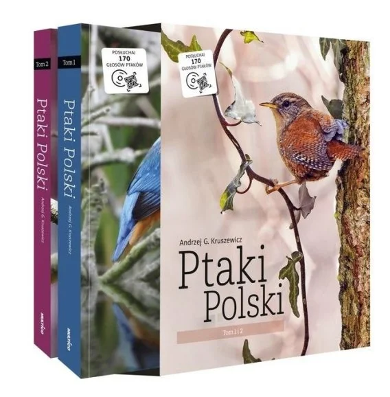 edukamp-120260614114115392690