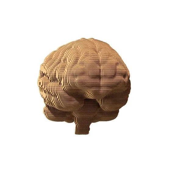 edukamp-120260615032539500943