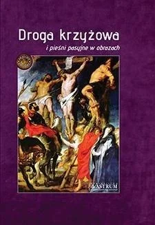 edukamp-120260615082012511828