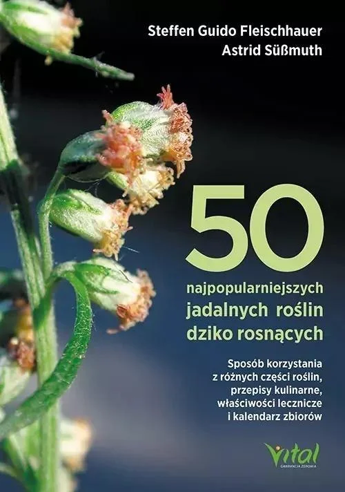 edukamp-120260616043337565317