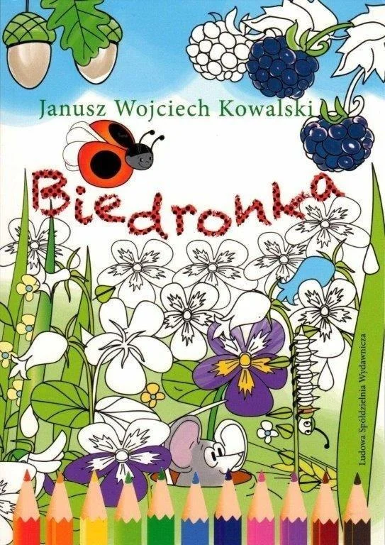 edukamp-2202606101120023539653