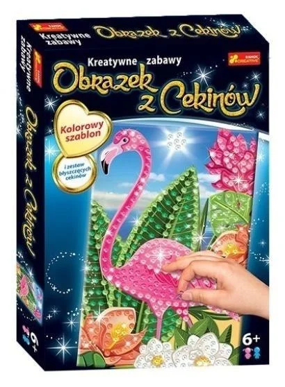 edukamp-2202606101143483542708