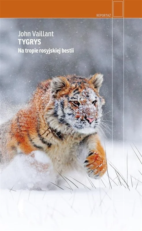 edukamp-2202606101551203584156
