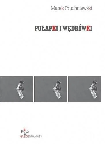 edukamp-2202606102257133634248