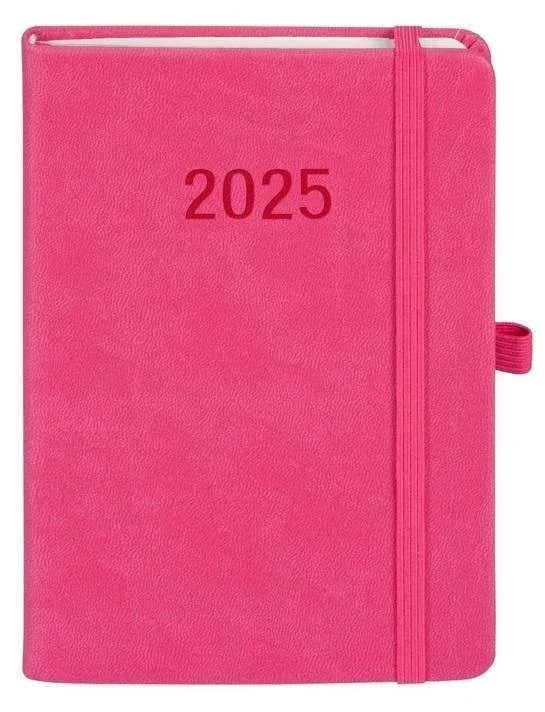 edukamp-2202606110023353639506