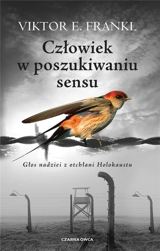 edukamp-2202606110204213645558