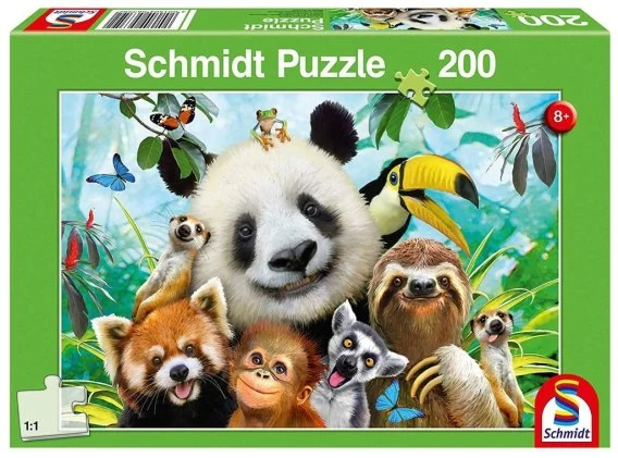 edukamp-2202606110326373650637