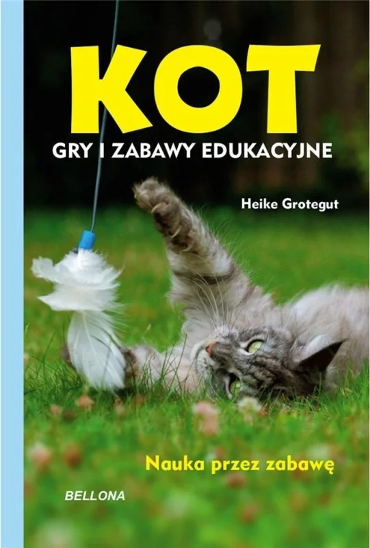 edukamp-2202606110614523660994
