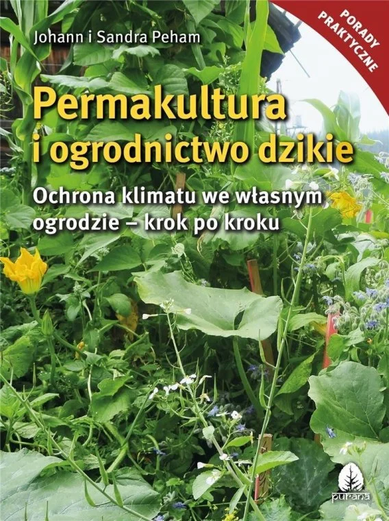 edukamp-22026061115130022060