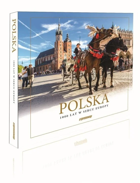 edukamp-22026061115132122090