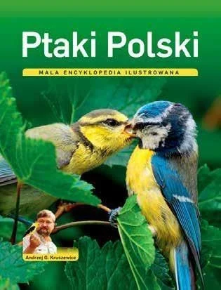 edukamp-22026061118235835805