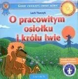 edukamp-22026061120004942761