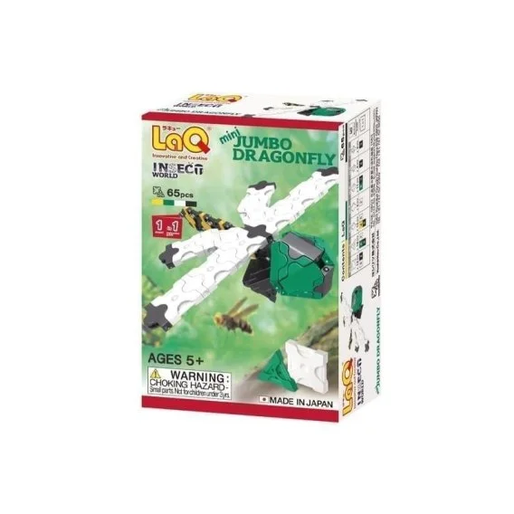 edukamp-22026061120595646496