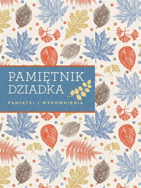 edukamp-22026061123183054833