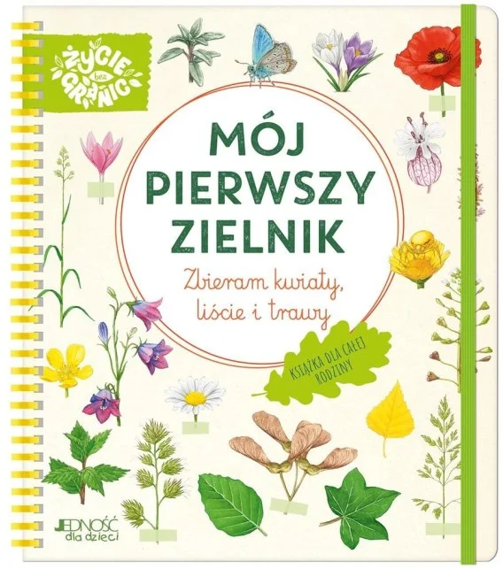 edukamp-22026061202131567133