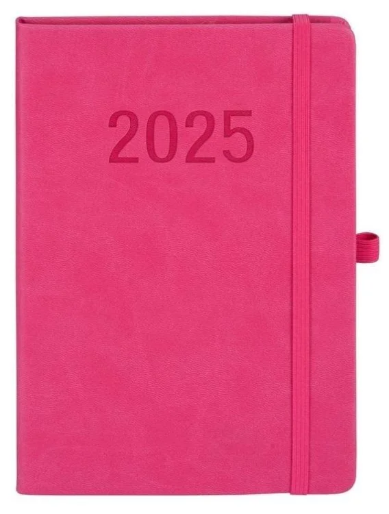 edukamp-22026061204491278300