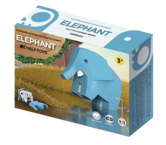 edukamp-22026061208475490878