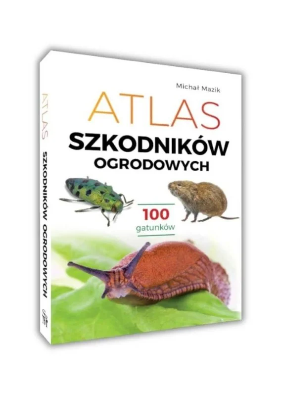 edukamp-220260612113448111935