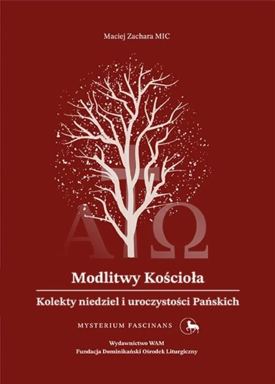 edukamp-220260612135250121753