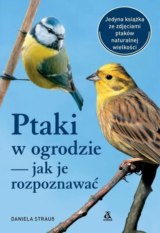 edukamp-220260612135354121812