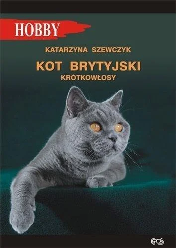 edukamp-220260612191329150522