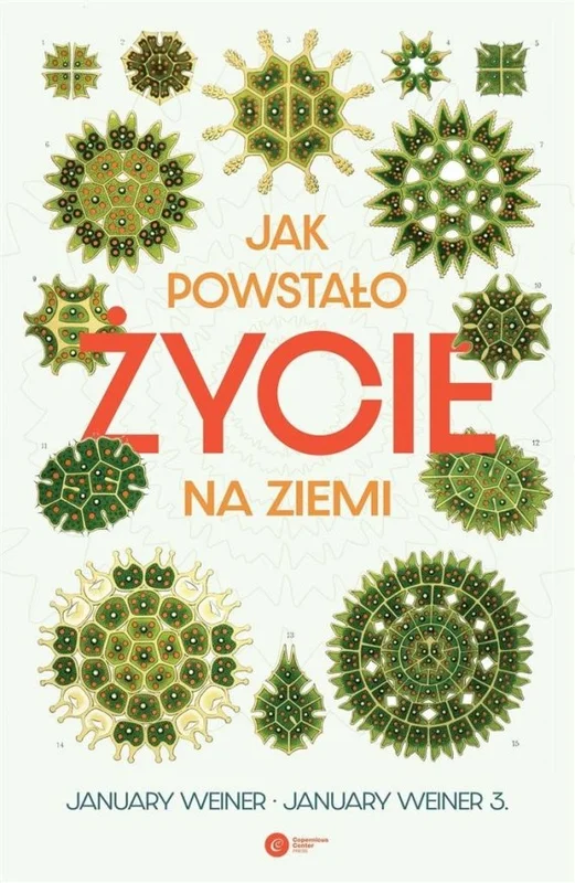 edukamp-220260613033207219667