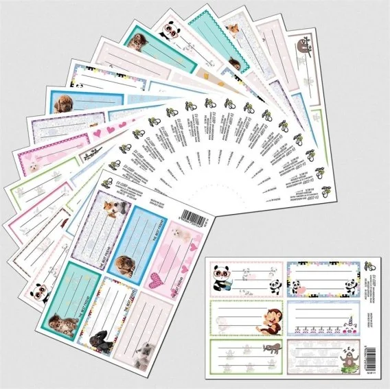 edukamp-220260613050956229411