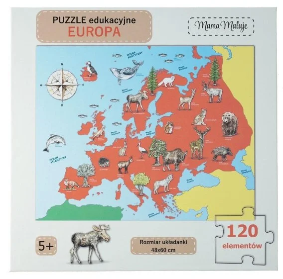 edukamp-220260613085317249142
