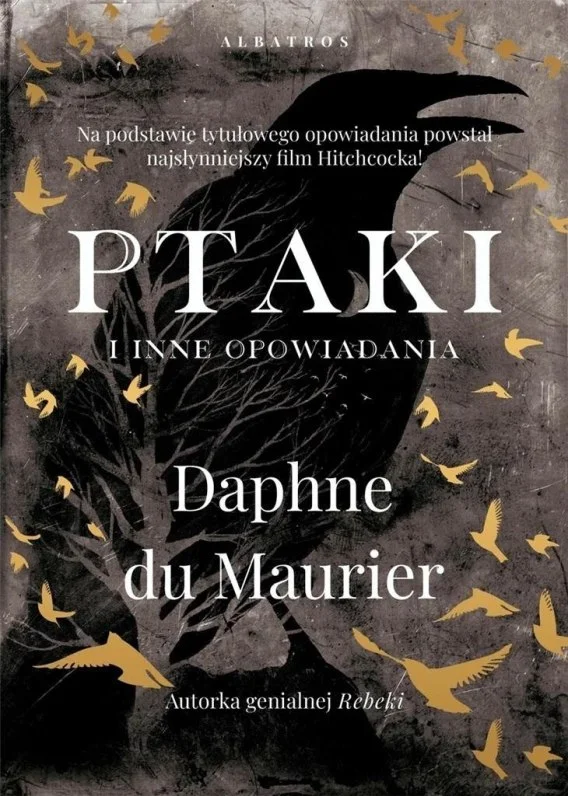 edukamp-220260614112155391799
