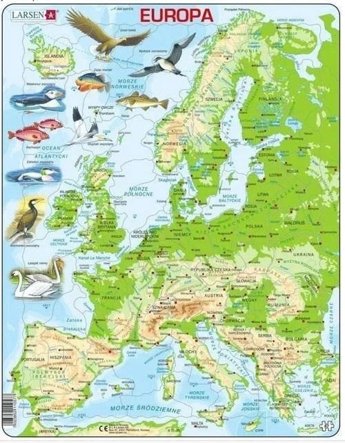 edukamp-220260615083737512449