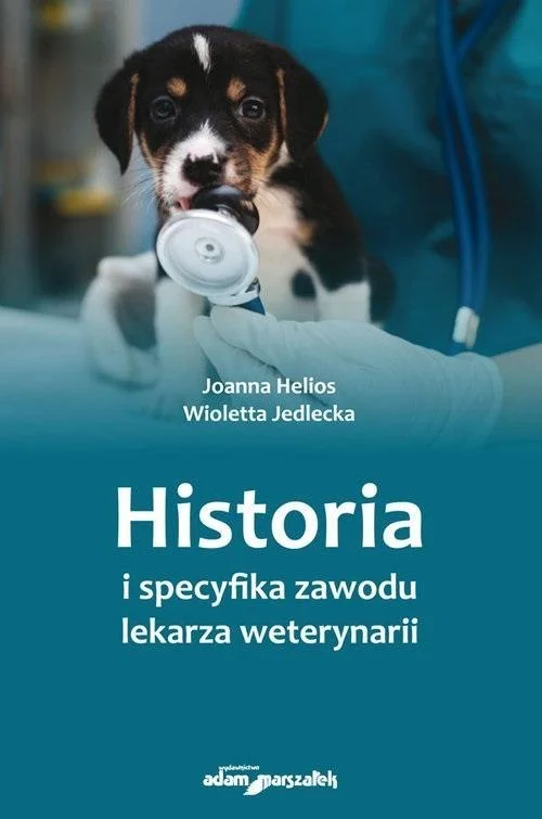 edukamp-220260615161804528251