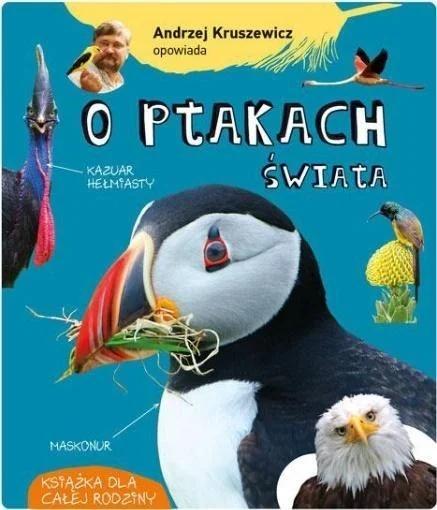edukamp-220260616093320576531