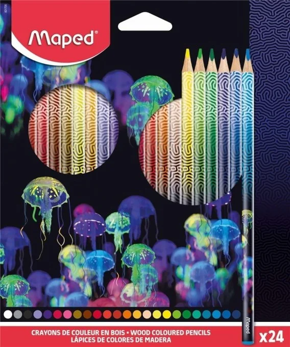 edukamp-3202606101011593529768
