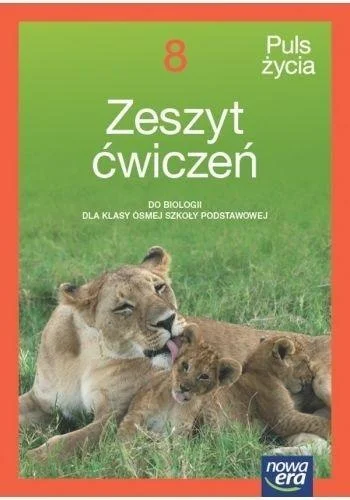 edukamp-3202606101936223621388