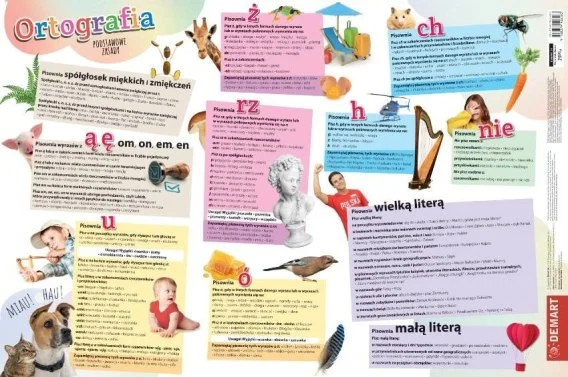 edukamp-3202606102359483638070
