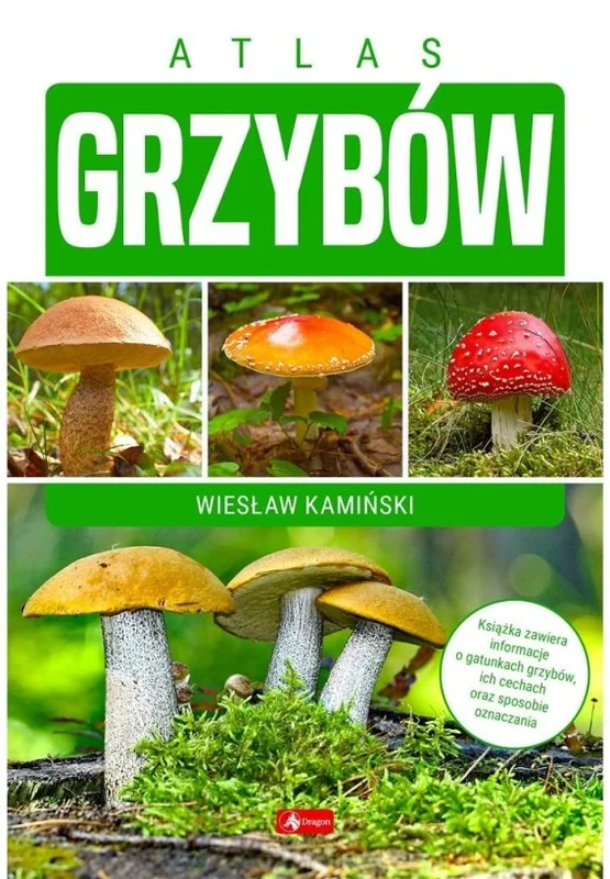 edukamp-3202606110418503653900
