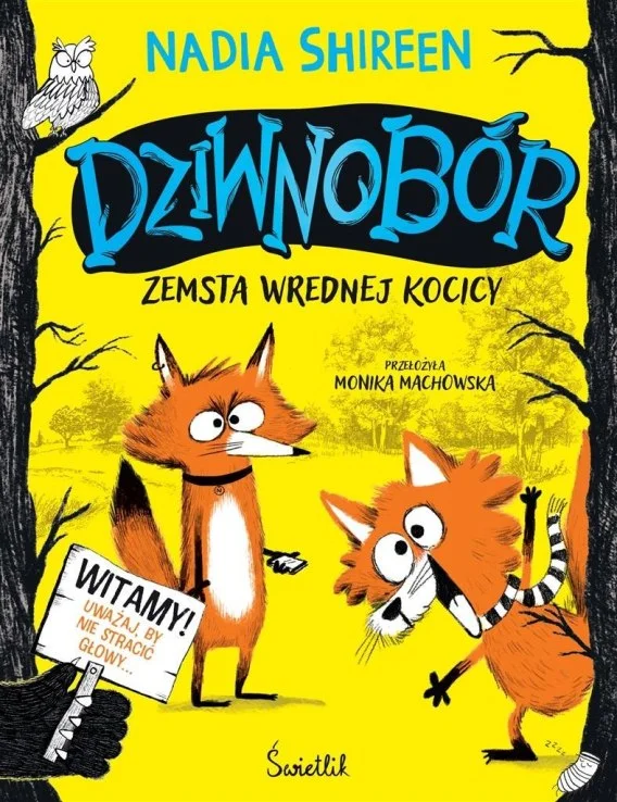 edukamp-32026061113354015322