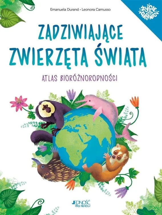 edukamp-32026061117530033521